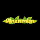 Wazamba Horse Racing Review